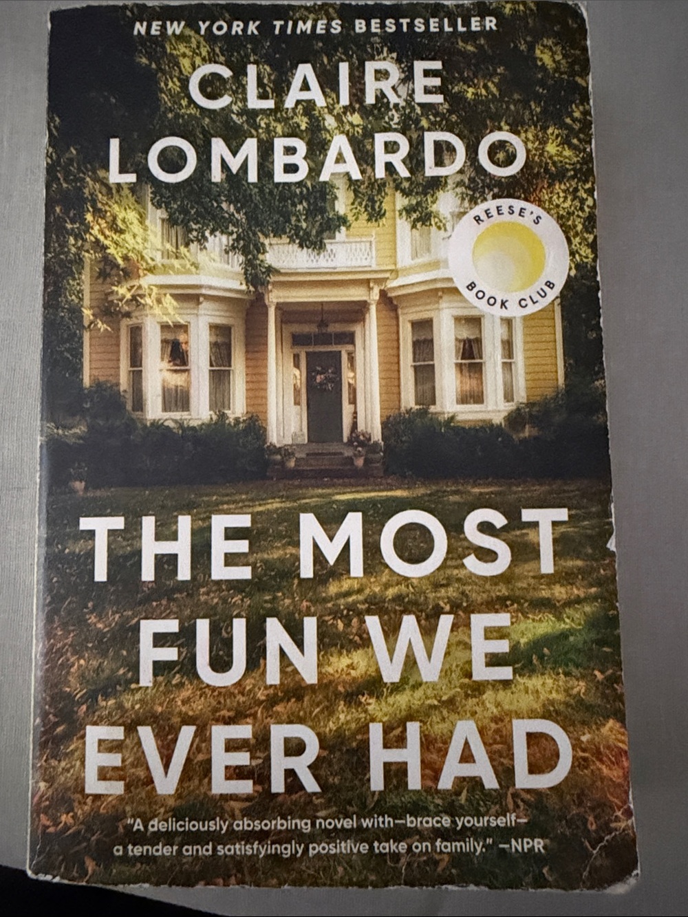 The Most Fun We Ever Had Novel Paperback